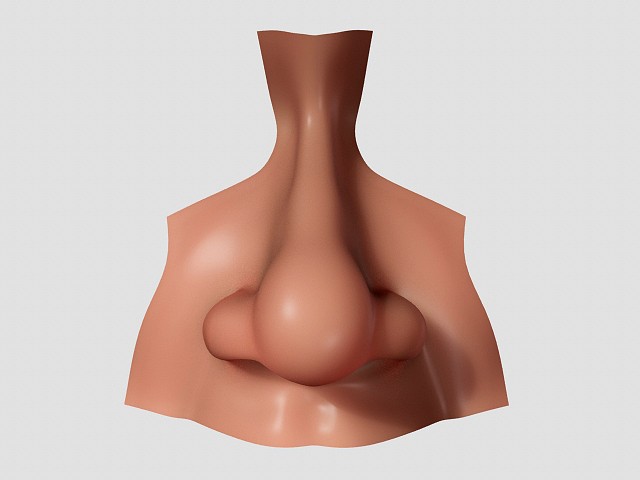 nose realistic nose human nose