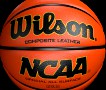 Basketball Wilson 3D Model