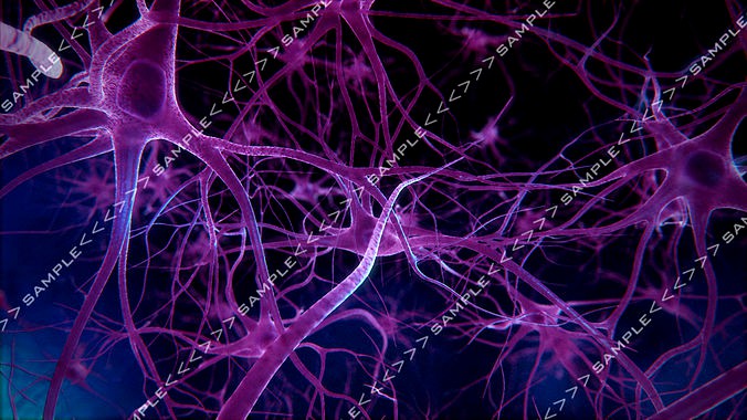 Neurons stock images