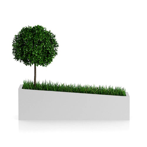 Tree an Grass in Rectangular Planter