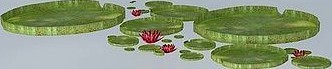 3D lily plant aquatic garden flower water