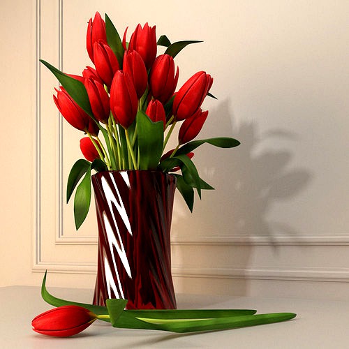 Red Tulip Flower