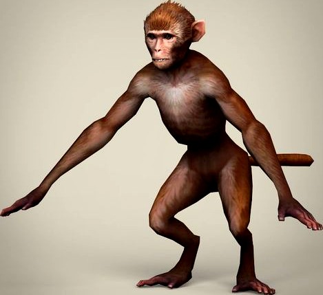 Game Ready Realistic Monkey