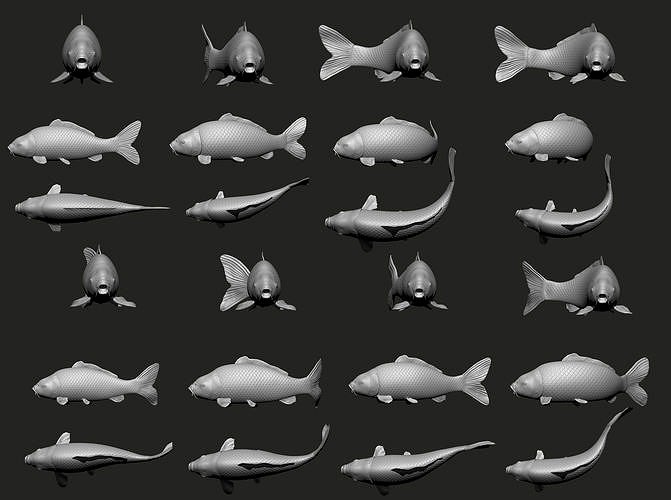 Fish Koi set 7 poses 3d models | 3D