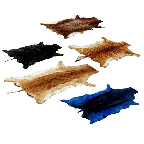 Skins of wild animals