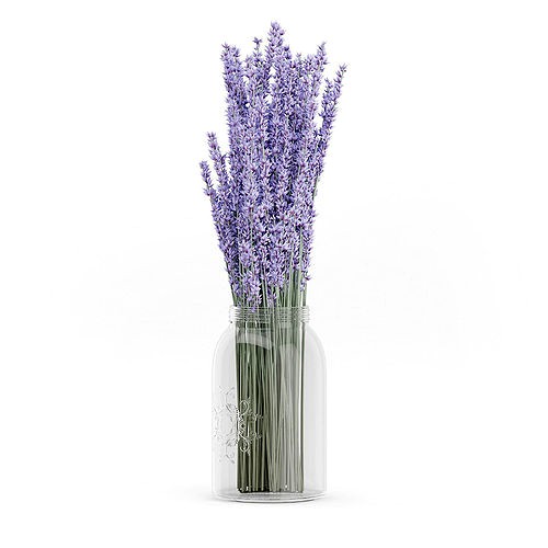 Purple Lupine in a Jar