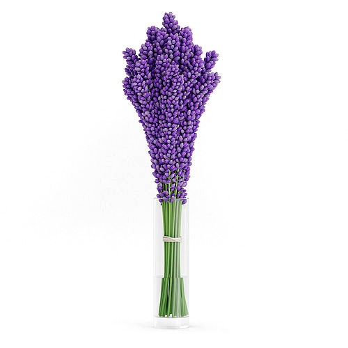 Violet Lupine in Glass Vase