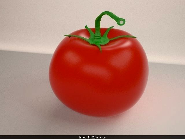 Tomato