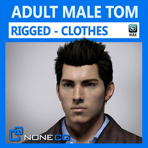 Adult Male Tom Rigged