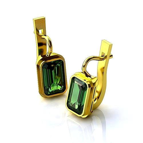 Luxurious Earrings