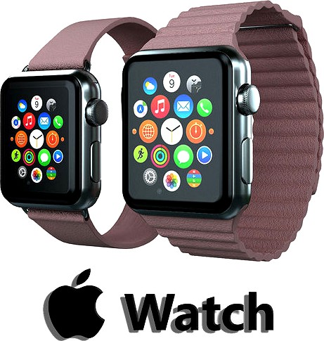 Apple Watch Magnetic Closure