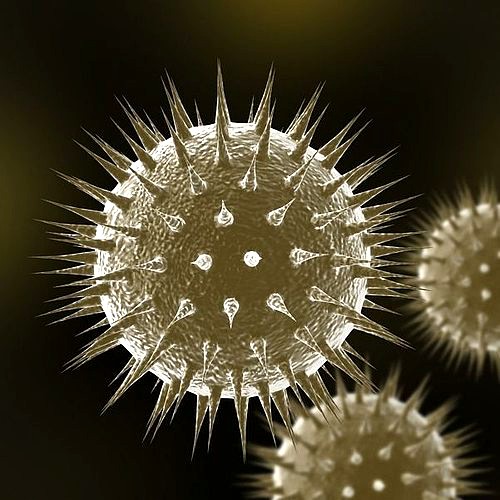Virus 01