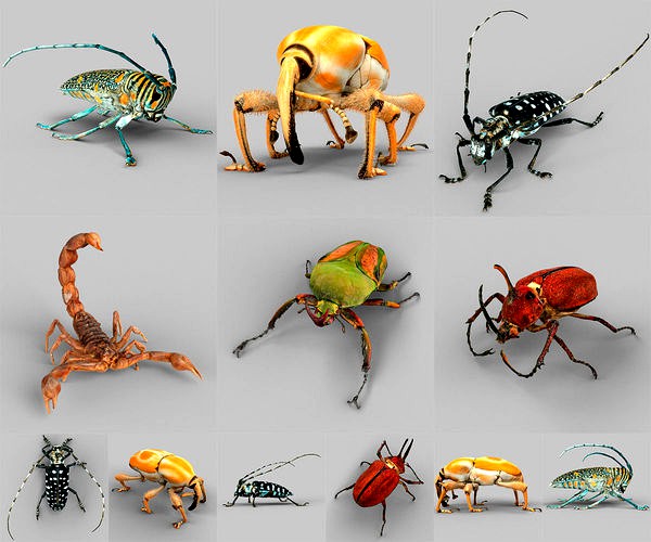 Insect Collection Vol 2