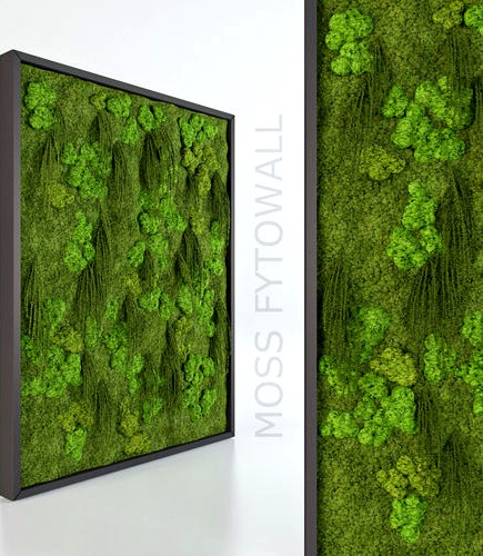 Moss wall