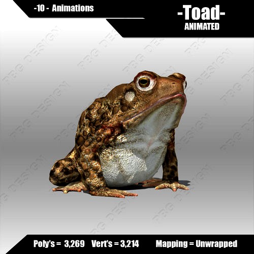Toad Animated