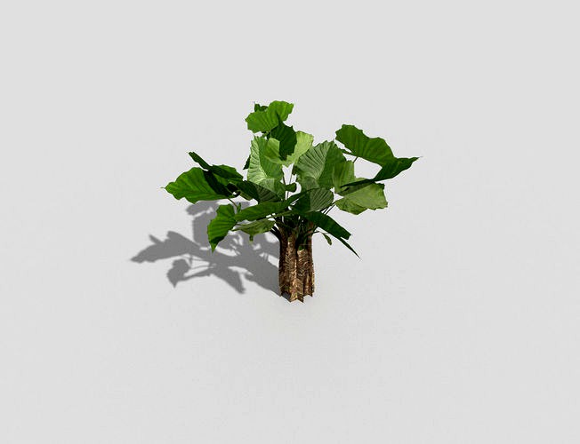 Low poly Plant