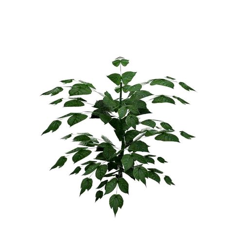 Nettle
