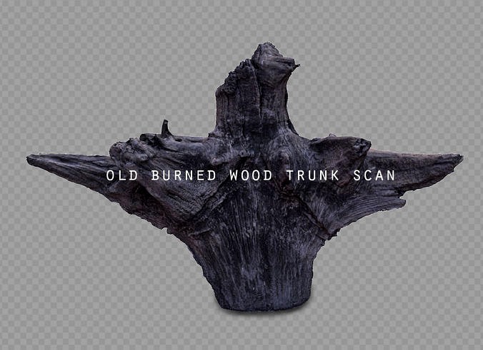 old burned wood trunk