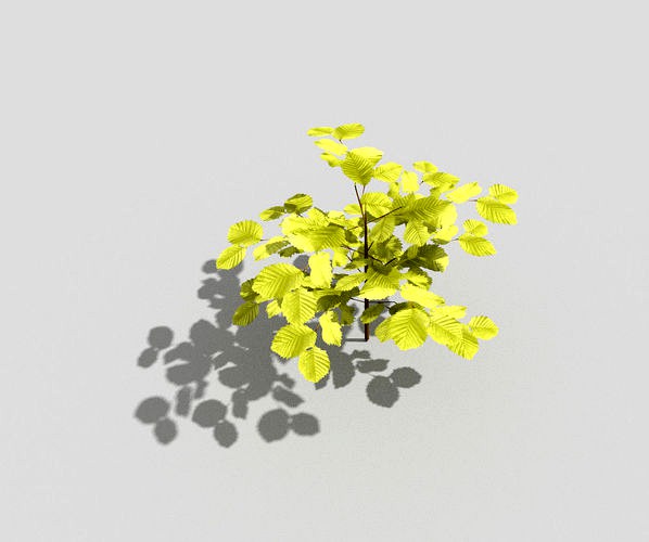 Low poly Plant