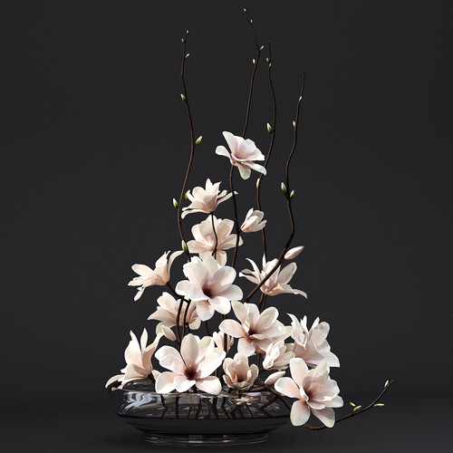 Magnolia arrangement