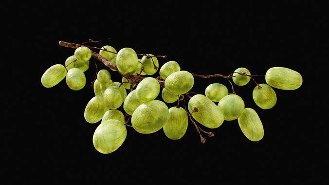 Green Grapes