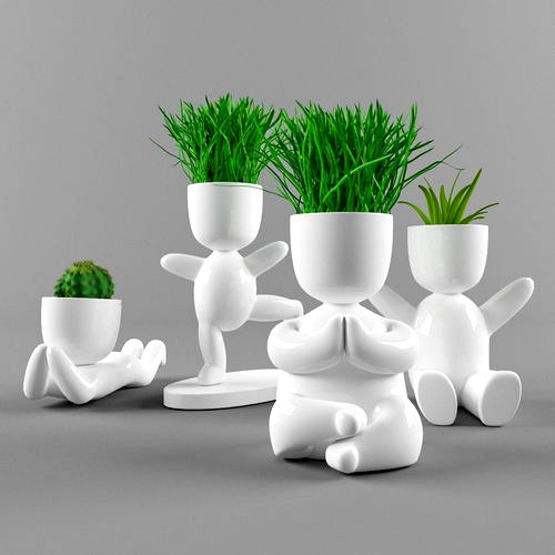 Plants in decorative pots