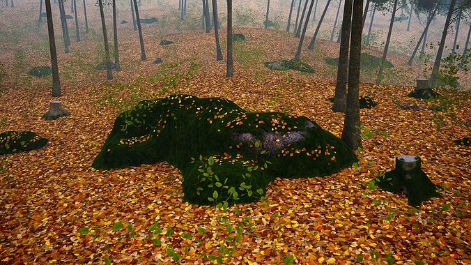 Forest