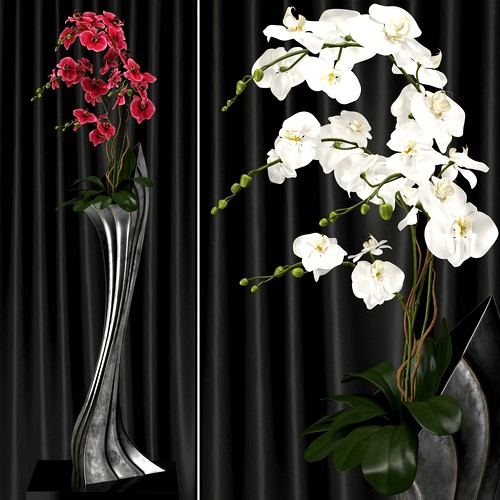 Orchid Arrangement 2