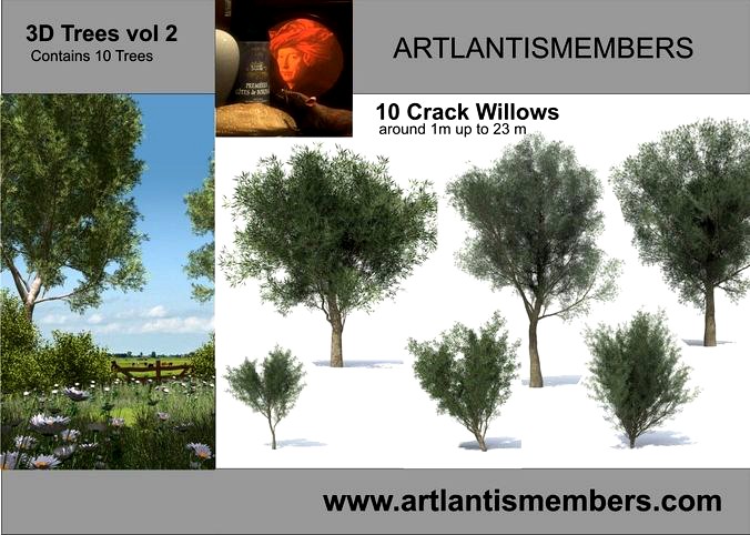 tree vol 2 crack willow