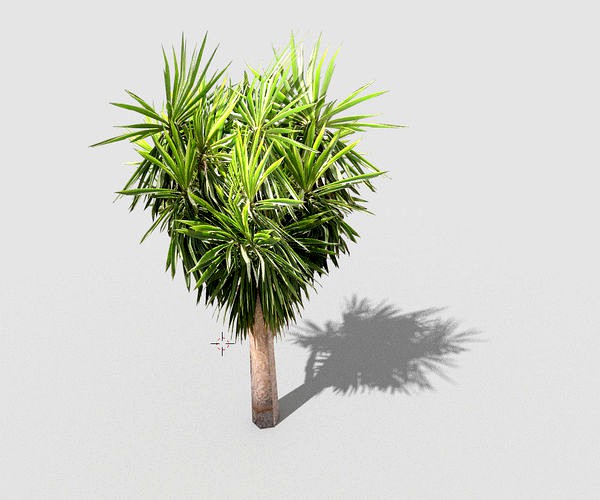 low poly tropical tree