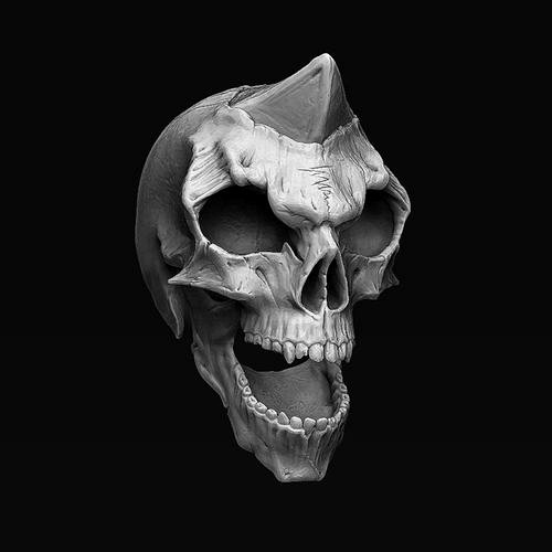 Evil Scull Model