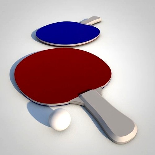 Ping Pong Paddle