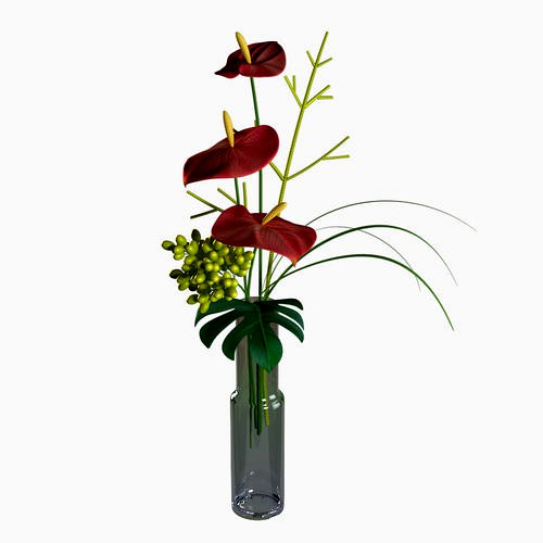 Anthurium