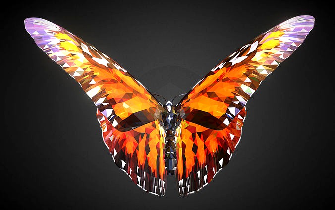 Batterfly Orange Low Polygon Art Insect