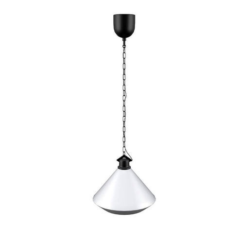 Ceiling Pendant Lamp