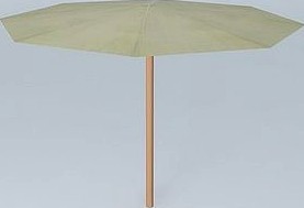 Ivory parasol