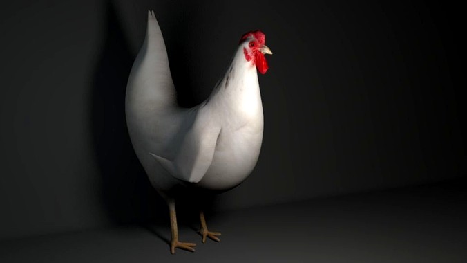 Hen Pigged and Animated Lowpoly