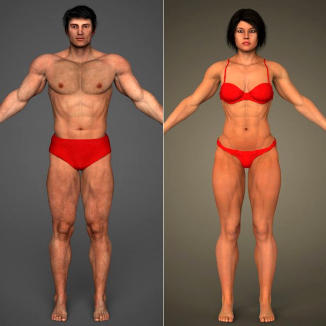 Realistic Bodybuilder Male  Female 3D Model