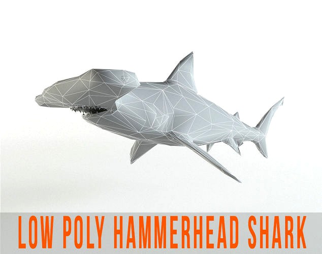 Hammerhead Shark Low Poly Predator Jaws Lowpoly