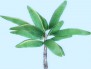 Low poly tropical plant 3D Model