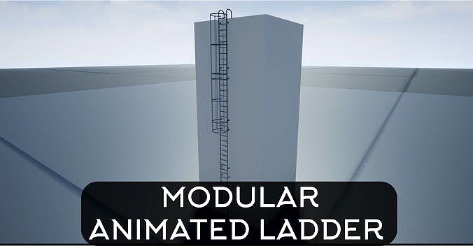 Modular Ladder