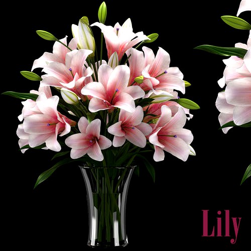 LILY 2