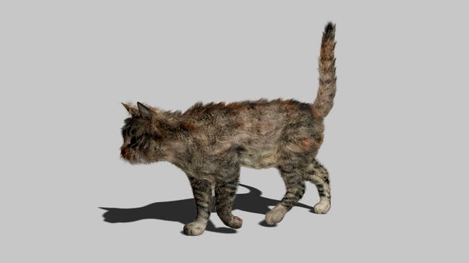 Cat - Rigged Animated