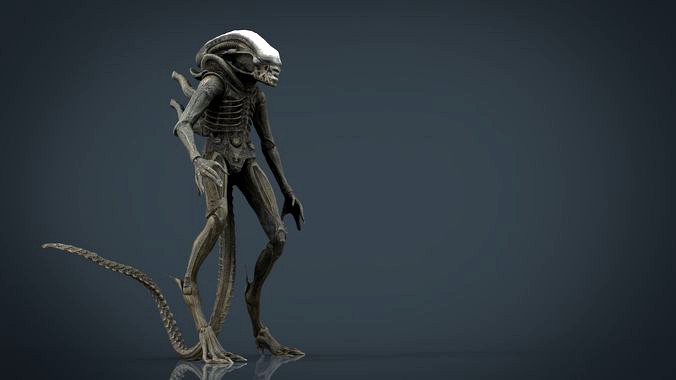 Alien Xenomorph