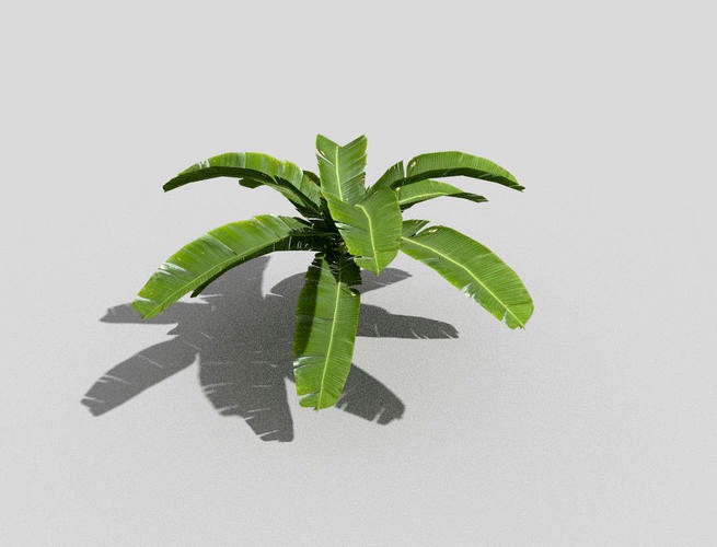 low poly tropical foliage