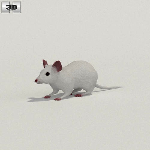 Mouse White
