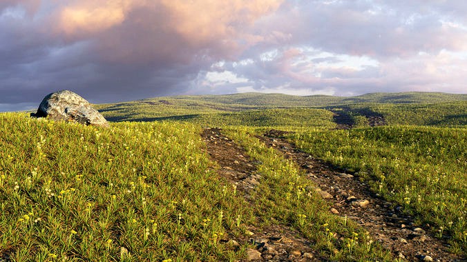 Spring field