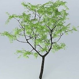 3D Tree Tree 3D