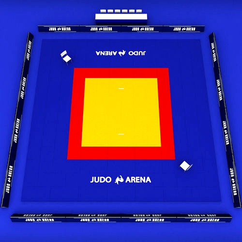 Judo tatami sport arena low poly