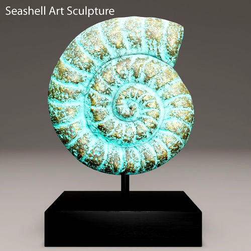 ammonite shell 1